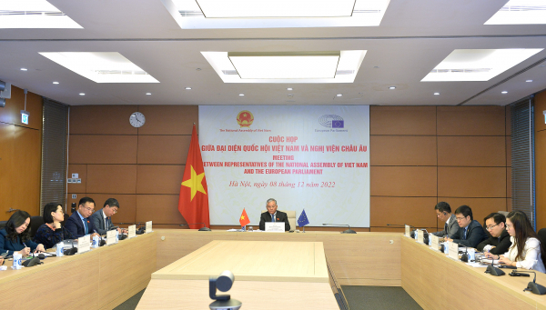 Đoàn ĐBQH Việt Nam do Phó Chủ nhiệm Ủy ban Đối ngoại Đôn Tuấn Phong làm Trưởng đoàn họp trực tuyến với DASE - ảnh: T.Chi 